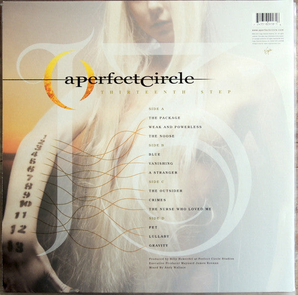 Thirteenth Step - A Perfect Circle