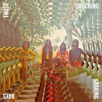 Those Shocking Shaking Days - Various Artists