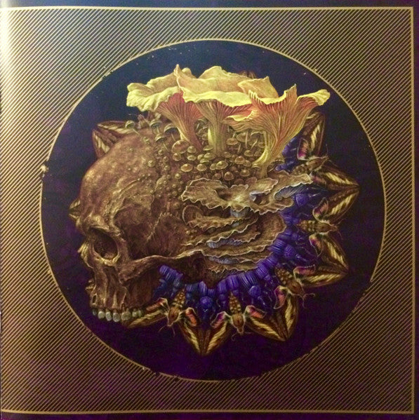 Purple - Baroness