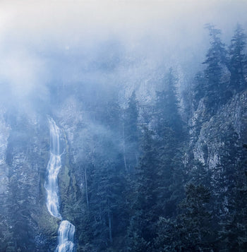 Diadem Of 12 Stars - Wolves In The Throne Room