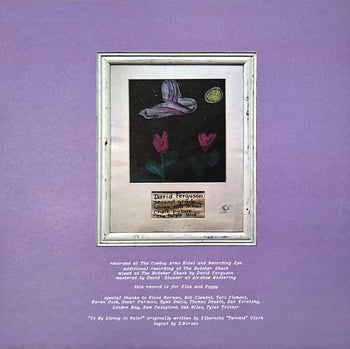 The Purple Bird - Bonnie Prince Billy