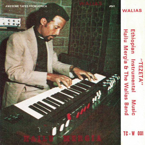 Tezeta - Mergia, Hailu & The Walias