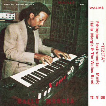 Tezeta - Mergia, Hailu & The Walias