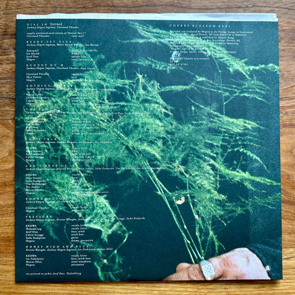 Cherry Blossom Baby - Shigeto