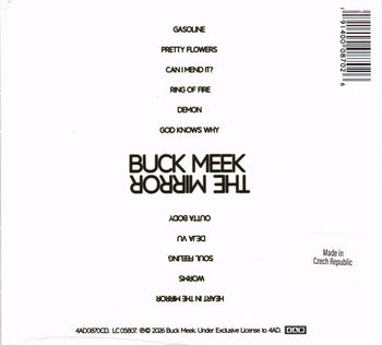 The Mirror - Buck Meek