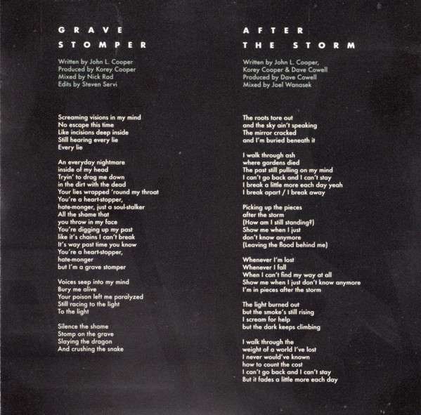 After the Storm - Skillet
