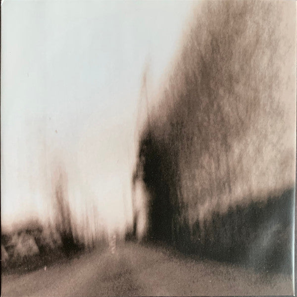 'Allelujah! Don't Bend Ascend - Godspeed You Black Emperor!