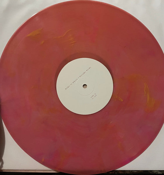 I Became Birds - Orange - Home Is Where