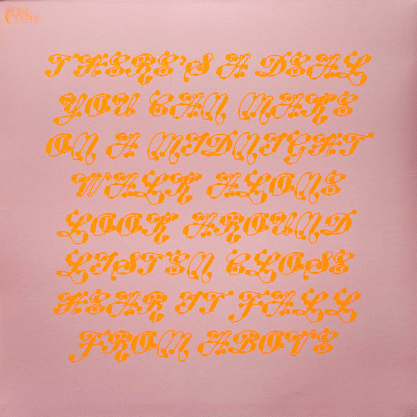 The Land Is Inhospitable And So Are We - Mitski