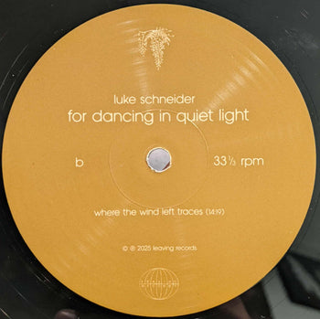 For Dancing In Quiet - Schneider, Luke