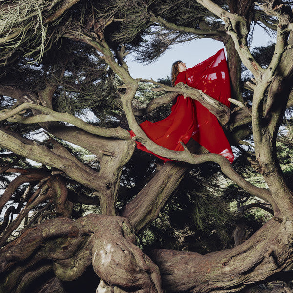 Nested In Tangles - Frances, Hannah