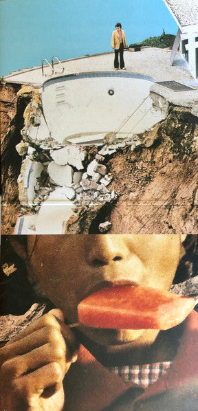 Panic Blooms - Black Moth Super Rainbow