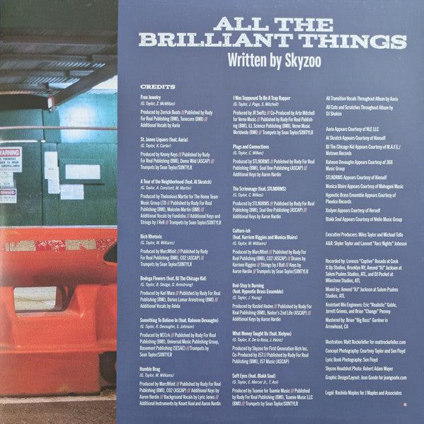 All The Brilliant Things - Skyzoo
