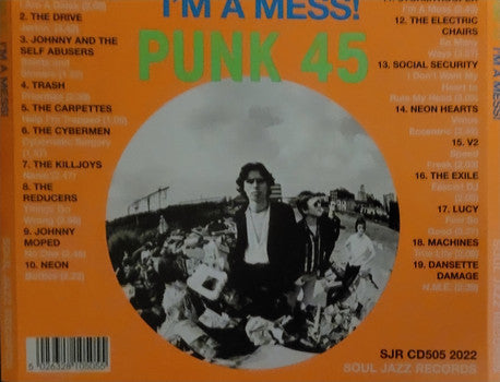 Punk 45: Im A Mess D-I-Y Or Die Art Trash & Neon - - Various