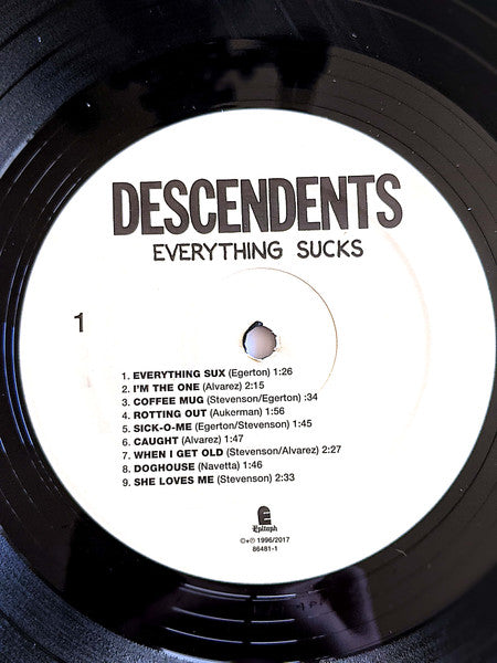 Everything Sucks - Descendents