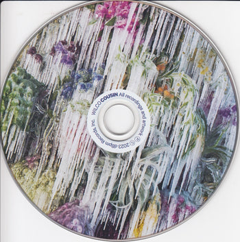 Cousin - Wilco