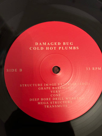Cold Hot Plumbs - Damaged Bug