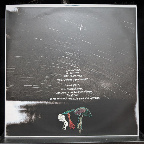 Dying Surfer Meets His Maker - All Them Witches