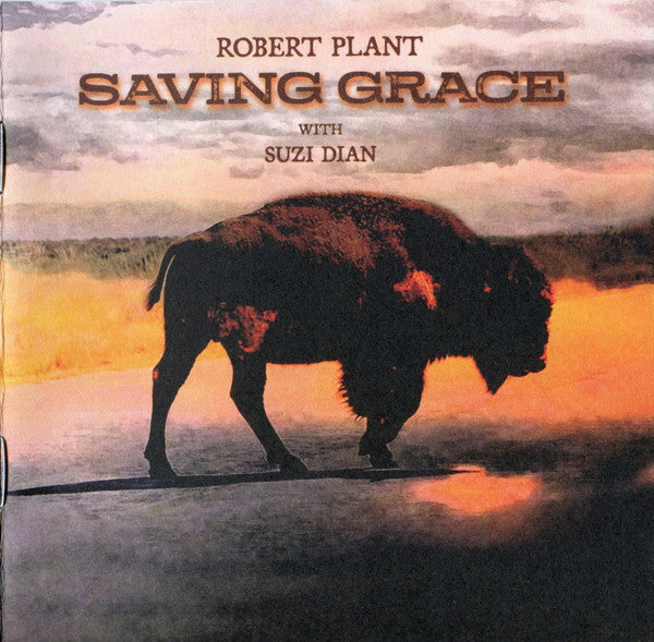 Saving Grace - Plant, Robert