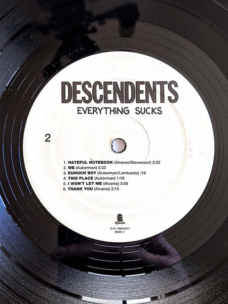 Everything Sucks - Descendents