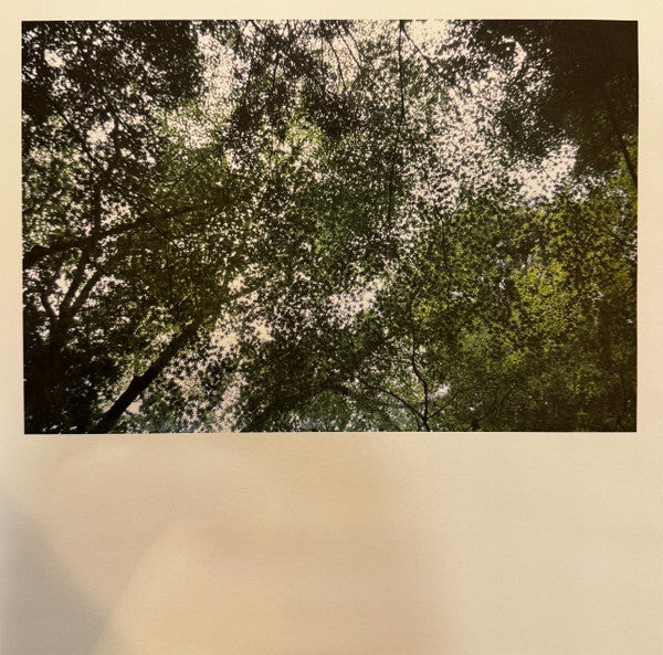 Refuge - Banhart, Devendra & Noah Georgeson