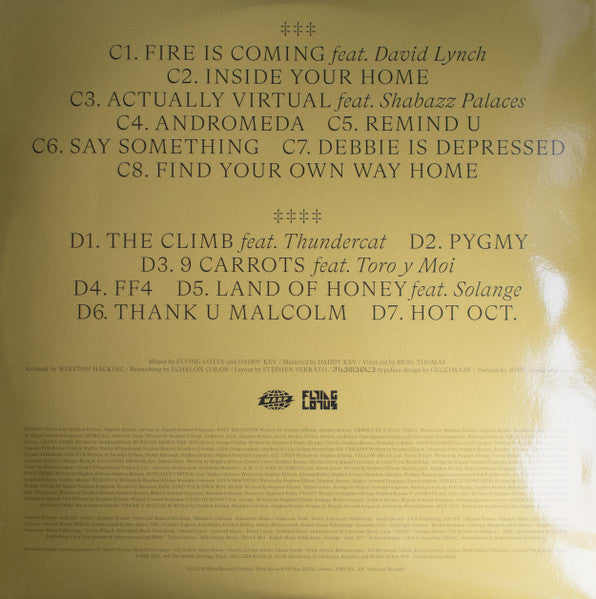 Flamagra - Flying Lotus