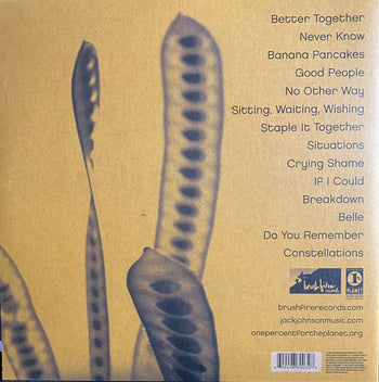 In Between Dreams [LP] - Jack Johnson