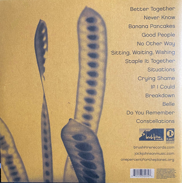 In Between Dreams [LP] - Jack Johnson