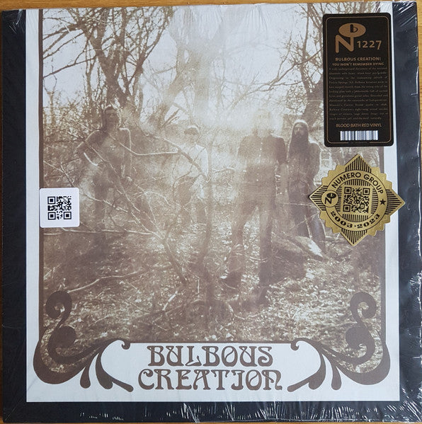You Won't Remember Dying - Bulbous Creation